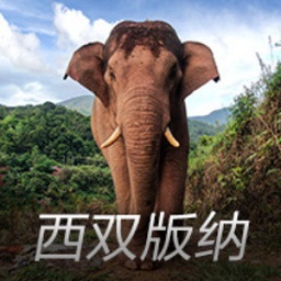 现货黄金升破3060美元/盎司，再度刷新历史新高